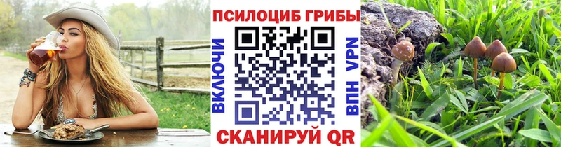 Псилоцибиновые грибы Psilocybe  хочу   Бобров 
